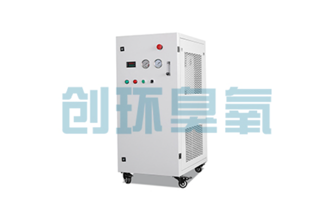 郑州比传统换水更高效?臭氧发生器在石斑鱼养殖中的水质净化原理解析